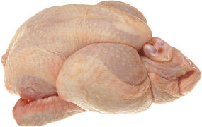 Poultry - Vårkyckling