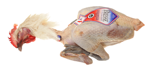 Poultry - Bresse chicken