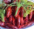 Swedish style crayfish party PS