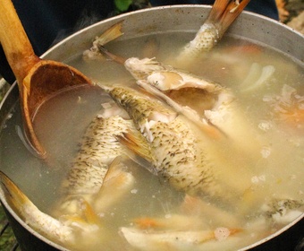 Cooking fish stock PS