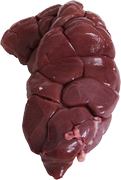 Veal - Veal kidney