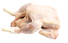 Hen