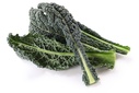 Black kale