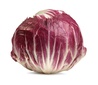 Radicchio