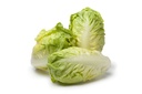 Gem lettuce
