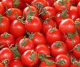 Time_for_tomatoes_PS