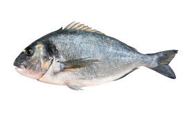 Bream fish deals