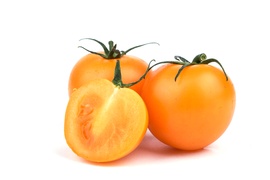 Tomatoes - Yellow tomatoes