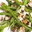 green beans haricots verts PS