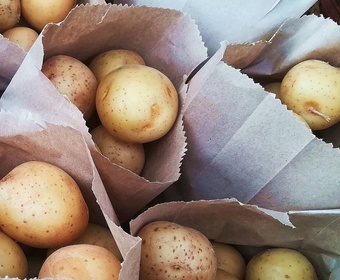 A bit more in the dark, please... Store potatoes PS