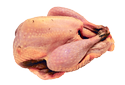 Guineafowl