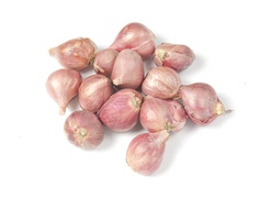 Onions - Shallots