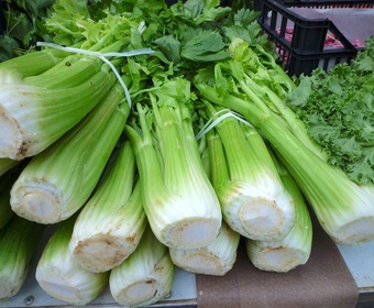 celery PS