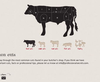 Common cuts meat