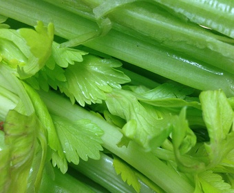 All about celery