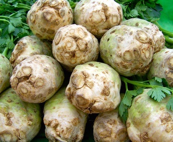 root vegetables PS