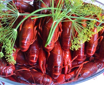 Swedish style crayfish party PS