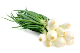 Onions - Onions fresh