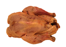 Wild fowl - Pheasant