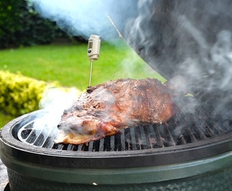Never overcook game – use a thermometer Game on the grill PS