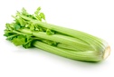 Celery