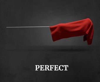 PERFECT thermometer PS