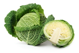 Cabbage - Savoy cabbage