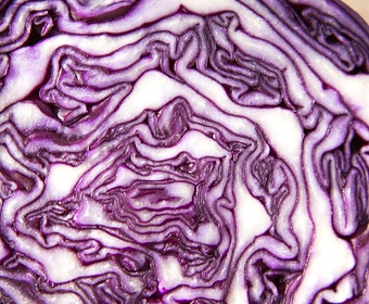 light recipe red cabbage