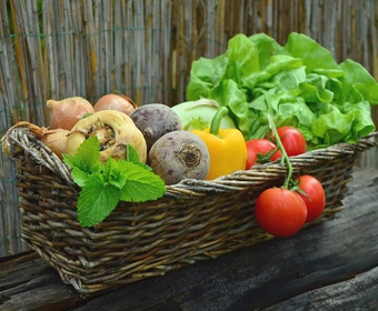 vegetables harvest PS