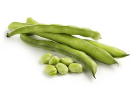 Other vegetables - Fava beans