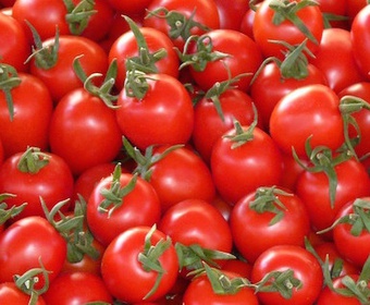 Time_for_tomatoes_PS