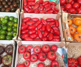 Tomatoes PS