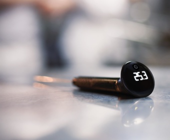 PERFECT thermometer PS