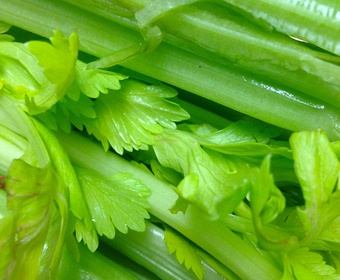 The king of stews and soups Stem stalk celery PS