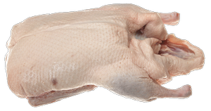 Poultry - Duck
