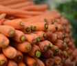 carrots