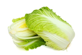 Cabbage - Chinese cabbage