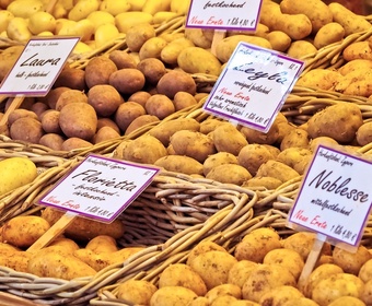 Potato guide PS
