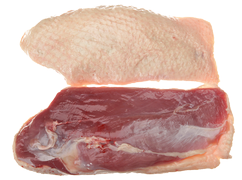 Poultry - Duck breast