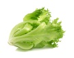 Frillice lettuce