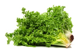 Lettuce, salad - Salad (fri)