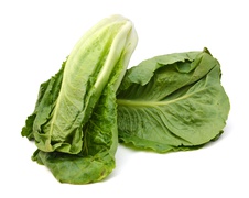 Lettuce, salad - Romaine salad