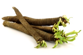 Root vegetables - Black salsify
