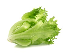 Lettuce, salad - Frillice lettuce