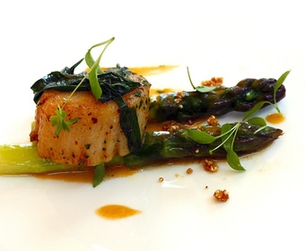 Scallop PS