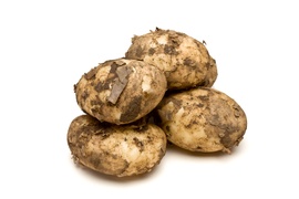 Potatoes - New potatoes