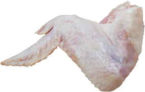 Poultry - Chicken wing