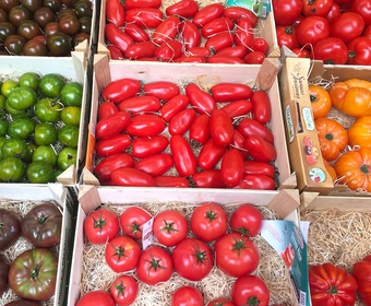 All kinds of tomatoes... Different tomatoes