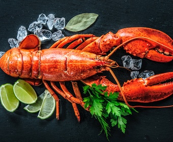 Lobster shellfish PS