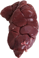 Veal kidney
